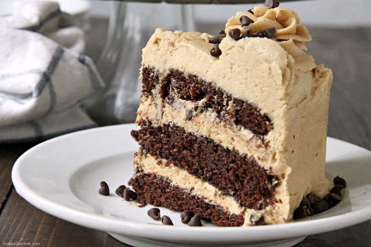 peanut-butter-chocolate-cake-2a-wm